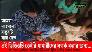 গতকাল মধ্যরাতে ভাটারায় গরুর চিকিৎসা দিতে গিয়ে যা জানলাম  ভয়াবহ অবস্থা  cow treatment [upl. by Arihaz]