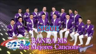 Banda MS Sigue 2013 [upl. by Herzig169]