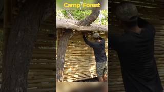 He builds an amazing Nest Wood shelter Part 5 [upl. by Huesman]