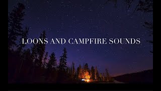 1 Hour Loon Calls With Campfire Sound  Loon Calls For Relaxing NO MUSIC [upl. by Liam820]