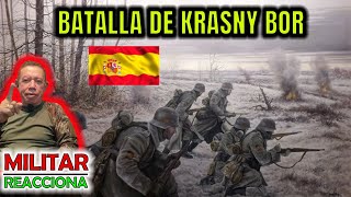 LA BATALLA DE KRASNY BOR LA DIVISION AZUL ESPAÑOLA [upl. by Aridaj]