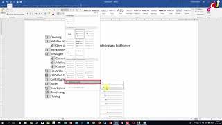 Word 2016 Meerdere niveaus [upl. by Lynus156]