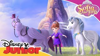 Horse Friends  Sofia the First 👑  Disney Junior Arabia [upl. by Eirak]