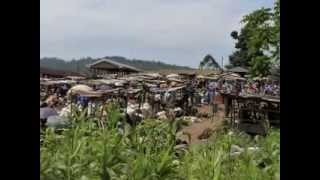 Ndanifor Permaculture Eco village Permaculture the African Way [upl. by Eiraminot]