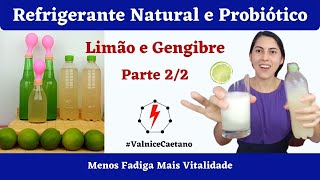 🍋AULA 22 REFRIGERANTE PROBIÓTICO de Limão e Gengibre🍋quotSpritequot COMO FAZER  Profª Valnice Caetano [upl. by Shepard]