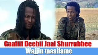 Gaafiif Deebii Jaal Shurrubbee Wajjin taasifame [upl. by Undine]