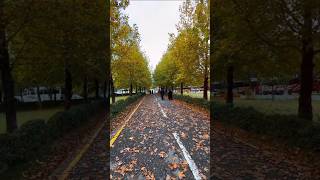 Comsats Abbottabad campus beauty shortvideo ytshorts [upl. by Oht]