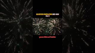 SILVESTER COMPILATION 20232024🧨  Part 4 [upl. by Magna]