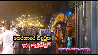 Esala Perahera  කලබල කරපු අලින්ට මොකද උනේ  Kandy Perahera [upl. by Jea]