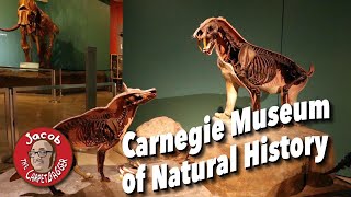 Secrets of the Carnegie Museum of Natural History [upl. by Anelah]