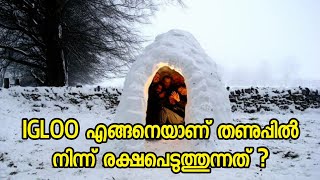 How igloo keep us from cold climate explained in malayalam  Eskimos  polar bear  Snow  Ice [upl. by Briney]