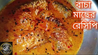 বাচা মাছের রেসিপি  Bacha Macher Recipe [upl. by Outhe]