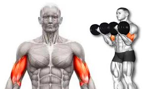 5 BEST BICEPS WORKOUT AT HOME WITH DUMBBELLS IN 2024 No Equipment No Repeat [upl. by Ozzy]