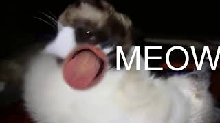 markiplier MEOW remix [upl. by Wexler932]