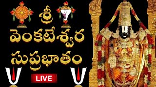 🔴LIVE  శ్రీ వెంకటేశ్వర సుప్రభాతం వినాల్సిన సమయం  Lord Sri Venkateswara Suprabhatam [upl. by Ayet923]