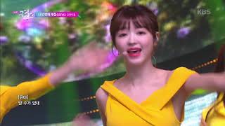 다섯 번째 계절SSFWL  오마이걸OH MY GIRL 뮤직뱅크 Music Bank 20190524 [upl. by Cerallua]