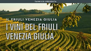 I vini del Friuli Venezia Giulia  Tannico Flying School [upl. by Yblocaj729]