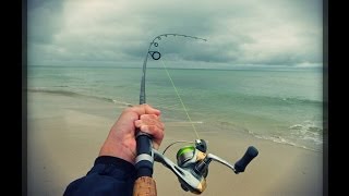 Metro Beach Fishing  Episode 2  Mixed Species [upl. by Anyl]