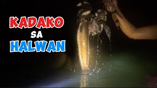 Catch and Cook Adventure EPISODE 92  KADAKO SA HALWAN [upl. by Sharline]