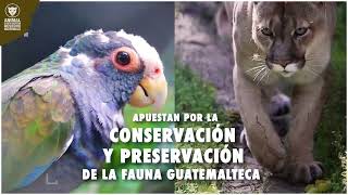 Grupo Campollo Apuesta por la Conservación y Preservación de la Fauna en Guatemala [upl. by Lacym740]