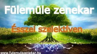 Szelektív dal ÉSSZEL SZELEKTÍVEN Fülemüle zenekar 2016 szelektív hulladékgyűjtés  gyerekeknek [upl. by Vannie]