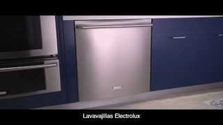 Lavavajillas Electrolux [upl. by Nerrol730]