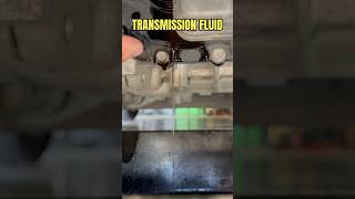 CHECKING TRANSMISSION FLUID ON A KIA RIO IS RIDICULOUS [upl. by Acinoj506]