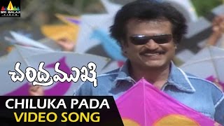 Chandramukhi Video Songs  Chiluka Pada Pada Video Song  Rajinikanth Jyothika Nayanatara [upl. by Nathanial]