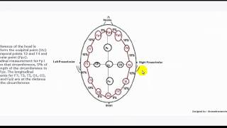 Understanding EEG Part 4 1020 electrode placement system used in electroencephalography EEG test [upl. by Jacoba537]