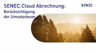 SENECCloud Abrechnung Berücksichtigung der Umsatzsteuer bei der Einspeisung [upl. by Wier438]