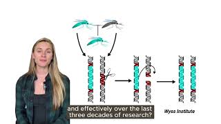 Gene Drives Mechanisms and Key Research Explained [upl. by Aneroc]