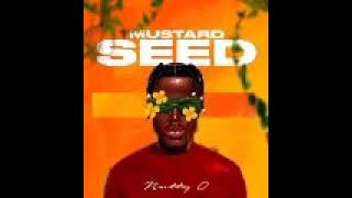 Nutty O Mustard Seed New Album Mixtape MixeD bY Dj ShAgGy GaZa Yuts amp FreeCom 2021 sepmp3 [upl. by Notecnirp]