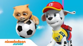 Paw Patrol  La Pat Patrouille  La Pat Patrouille joue au football   Nick Jr [upl. by Eelrak992]