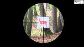 Zeiss Conquest DL 312x50 Reticle 60  Optics Trade Reticle Subtension [upl. by Ciapha]