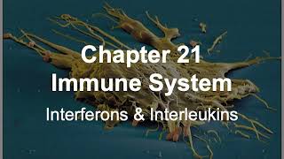 BIOS 254 21 2 Immune Interferons amp Interleukins [upl. by Pearlstein905]