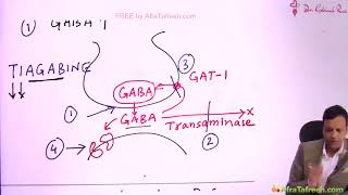 CNS3 Epilepsy Grg pharmacology [upl. by Curhan471]