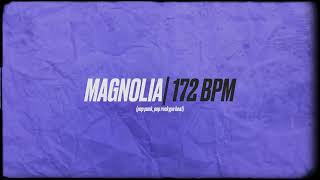 MAGNOLIA 172 BPM x POP PUNK x POP ROCK TYPE BEAT [upl. by Arlen]