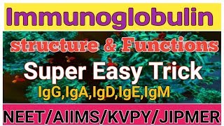 ImmunoglobulinTrickTrick to learn structure amp function of immunoglobulinImmunoglobulin mnemonics [upl. by Wiseman]