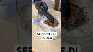 Ho creato un SERPENTE DI FUOCO scienza [upl. by Thedrick810]