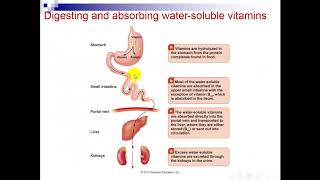 Watersoluble Vitamins DrEman part 1 [upl. by Kalbli360]