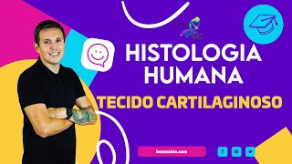 Histologia Humana  Tecido Cartilaginoso [upl. by Llehcear390]