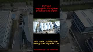 TSE SILO is committed to providing the safest intelligent grain storage solutions for clients [upl. by Hgielra]