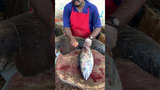 KASIMEDU SPEED SELVAM FISH CUTTING VIDEO kasimedu shorts youtubeshorts youtube [upl. by Nido855]