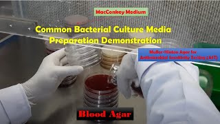 Common Bacterial Culture Media Preparation Demonstration Macconkey Blood and MullerHinton agar [upl. by Alina67]