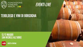 Teroldego e Vini di Borgogna [upl. by Inram]