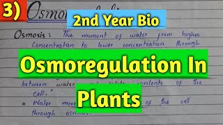 Osmoregulation in plants  Lec 3 Homeostasis  2nd year biology [upl. by Eifos771]