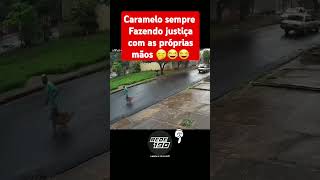 Caramelo justiceiro 🤭😂😂😂 [upl. by Gilroy]