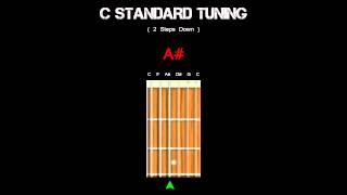 Guitar Tuning  C Standard  2 Steps Down [upl. by Enaujed]