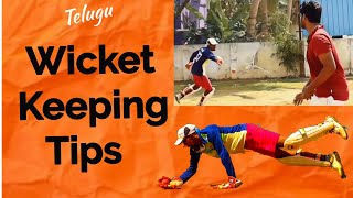 Wicket Keeping  Tips amp Drills  【తెలుగు】 [upl. by Millham]