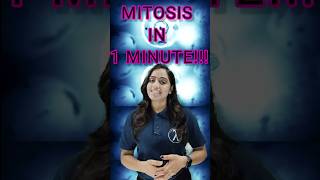 Mitosis A Fascinating Journey Inside Cells🔥mitosis ytshorts youtubeshorts biology shorts [upl. by Jak]